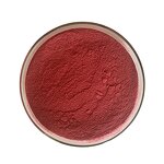 Elderberry Extract Powder Manufacturer - High Quality Natural 25% Anthocyanin