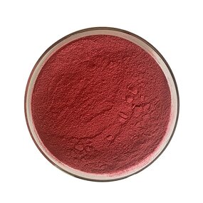 Elderberry Extract Powder Manufacturer - High Quality Natural 25% Anthocyanin