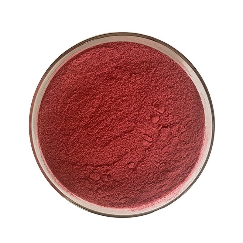 Elderberry Extract Powder Manufacturer - High Quality Natural 25% Anthocyanin