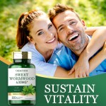 Shilajit Capsules Factory Direct - Stamina Enhancer Fatigue Reducer Custom