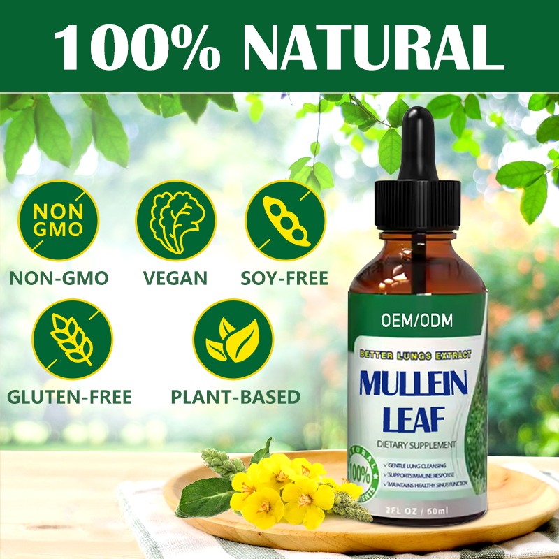 毛蕊花叶补充剂供应商 - 草本呼吸功能可定制配方