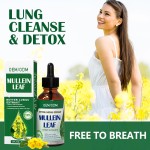Mullein Leaf Supplement Supplier - Herbal Respiratory Function Custom Formula
