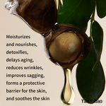 Face Oil Manufacturer - Organic Moringa 4oz/120ml 100% Pure Cold-Pressed Virgin for Skin Hair Body