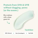 Sunscreen Manufacturer - Private Label SPF 30 Oil-Free Mineral for Reef-Safe Zinc Plant Extracts