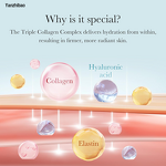 Face Cream Manufacturer - Triple Collagen 1.69oz with Hyaluronic Acid Elastin Shea Butter for Wrinkle Care