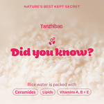 Cleansing Oil Manufacturer - Rice Water Bright Light for Daily Makeup Removal Jojoba Oil Vitamin Aging Skin