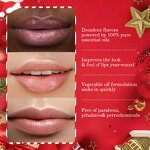 Lip Balm Manufacturer - Christmas Design 3 Flavors for Dry Lips Nourishing MOOYAM