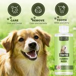 Pet Cleaner Manufacturer - Teeth Cleaning Water for Dogs Cats Plaque Odor Prevention 237ml Private Label OEM