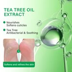 Foot Cream Manufacturer - Tea Tree Oil for Dry Skin Calluses Softening 250g OEM Wholesale Private Label MOOYAM