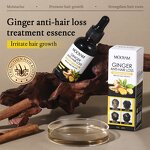 Hair Care Serum Manufacturer - Ginger Anti-Hair Loss for Nourishing Moisturizing Smooth 30ml MOOYAM