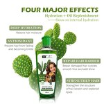 Hair Oil Manufacturer - Cactus Extract 200ml - Avocado Oil, Strengthening Hair Roots, Non Greasy, for Soft Hair