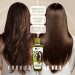 Hair Oil Manufacturer - Home Care Olive 200ml - Smoothing, Strengthens Anti-Frizz, Soften, Avocado Oil, OEM ODM