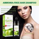 Hair Dye Shampoo Manufacturer - Apple Pro Fast 500ml - Permanent Color, Plant Based for Grey Hair, No Damage, Nourishing OEM