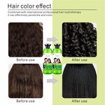 Hair Dye Gel Manufacturer - Permanent Apple Black 250ml*2 - Crystal Gel, Ginseng Extract, Fast Color to Black