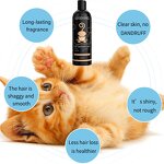 Cat Shower Gel Manufacturer - New 500ml - Wormwood Extract, Amino Acid Moisturizing, Fluffy Smooth, Deodorization, Inhibit Mites