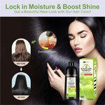 Hair Dye Shampoo Manufacturer - Apple Black 400ml - Ammonia Free, Organic Ginseng, Grey Cover, Long Lasting Professional Color