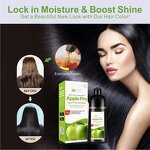 Hair Dye Shampoo Manufacturer - Apple Pro Fast 500ml - Permanent Color, Plant Based for Grey Hair, No Damage, Nourishing OEM