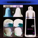 Hair Dye Shampoo Manufacturer - Natural Plant Biotin - No Chemical, Black Dye Ginger, Argan Oil, Repair Damage