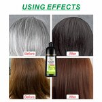 Hair Dye Shampoo Manufacturer - Apple Black 400ml - Ammonia Free, Organic Ginseng, Grey Cover, Long Lasting Professional Color
