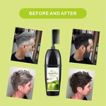 Hair Dye Shampoo Manufacturer - Apple Pro with Comb 200ml - Olive Oil Extract, Black Permanent, for Salon, Quick, Non Stick