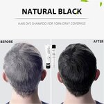 Hair Dye Manufacturer - Professional Apple Black Ammonia Free 60ml*2 - Organic Plant Extract, for Men, for Hair Salon
