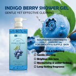 Body Wash Manufacturer - Wiseking Blueberry Fruit 500ml - Weakly Acidic Shower Gel, Soothing Skin, Fresh Lingering Fragrance