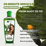Hair Serum Manufacturer - Cactus 200ml - Enriched Plant Extract, Deep Repairing, Nourishing, for Dry Damaged Hair