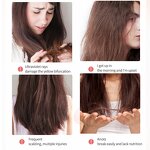 Hair Oil Manufacturer - Wiseking Anti-hair Loss Biotin Collagen - Repairing Damage Strengthening, Contains Argan Oil