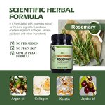 Hair Mask Set Manufacturer - Women Daily Personal Care Moisturizing - Rich Rosemary Extract, Make Hair Smooth & Strong