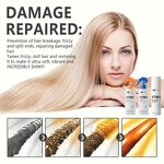 Hair Care Set Manufacturer - Professional 17 in 1 750ml - Repair Damage Soft Shiny, Deep Moisturizing Serum, Plant Extracts