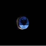 Beard Balm Manufacturer - Wiseking Argan Rosemary 30g - Plant Extract Moisturizer, Light Hold Shine, Soften Smooth