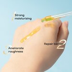 Facial Oil Manufacturer - 100% Pure Natural Moisturizing Cold Pressed Rosehip Oil Organic Skincare