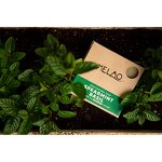 Spray Manufacturer - Hot Selling Hair Styling Oil Control Sweat Proof Strong Hold Texturizing Sea Salt Spray