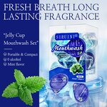 Mouthwash Manufacturer - Private Label Cool Mint Customize Oral Wash Teeth Cleaning Whitening Formula