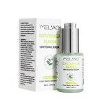 Face Serum Manufacturer - Anti-Aging Lift Brightening Hyaluronic Acid Vitamin C E Glycyrrhiza Glabra