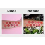 Lip & Cheek Makeup Manufacturer - No Logo 2 in 1, 11 Colors Lip Tint, Long Lasting Smudge-Resistant Matte