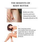 Body Lotion Manufacturer - OEM Wholesale Organic Shea Butter, Vanilla Rose Mango Flavor, Skin Care Moisturizing