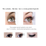 Eyelash Serum Manufacturer - Wholesale Custom, Oil Free Vegan 100% Natural Organic, OEM Private Label