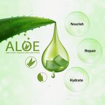 Body Lotion Manufacturer - Custom Logo, Moisturizing Whitening Soothing Aloe Lotion, Organic Aloe Vera Gel for Repairing