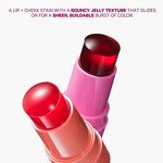 Blush Tint Stick Manufacturer - Wholesale Lip Cheek Stain Multi-Function, 4 Colors Round Tube, Long Lasting Waterproof Jelly