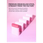 Blush Stick Manufacturer - High Quality Pink Container 5 Colors, Soft Long Lasting Moisturizing Smooth Matte, Private Label