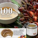 Batana Oil Manufacturer - 100% Pure From Honduras Eliminate Hair Treatment Split Ends Private Label OEM