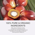 Batana Oil Manufacturer - 100% Pure From Honduras Eliminate Hair Treatment Split Ends Private Label OEM