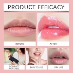 Lip Balm Box Manufacturer - EELHOE Christmas Lip Balm Care for Dry Lips Moisturizing Gentle Beautiful Natural