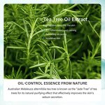 Acne Removal Cream Manufacturer - Tea Tree Salicylic Acid Korean Skincare Facial Anti Acne Anti Aging Set