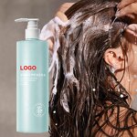 Hair Shampoo Manufacturer - Tea Tree Oil Control Herbal Natural Organic Private Label Reduce Dandruff 500ml