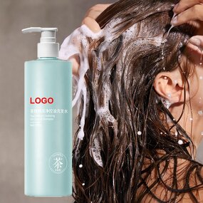 Hair Shampoo Manufacturer - Tea Tree Oil Control Herbal Natural Organic Private Label Reduce Dandruff 500ml