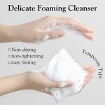 Foam Cleanser Manufacturer - Soothing Deep Cleansing Skin Care Tea Tree Custom Private Label