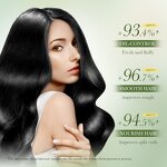 Conditioning Oil Manufacturer - Rosemary for Dry Frizz Hair & OEM