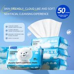 Facial Dry Wipes Manufacturer - Disposable Makeup Remover & OEM